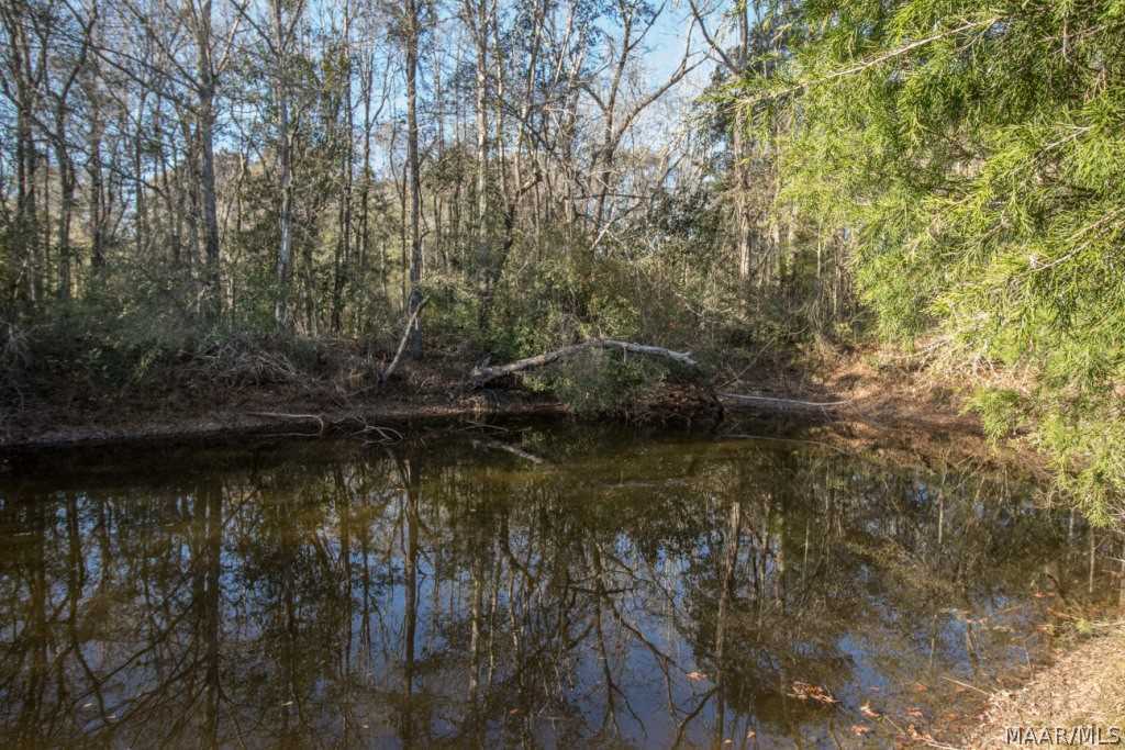 40-acres Austin Road Black, AL 36314 - Photo 2 of 28 Gallery Image 2