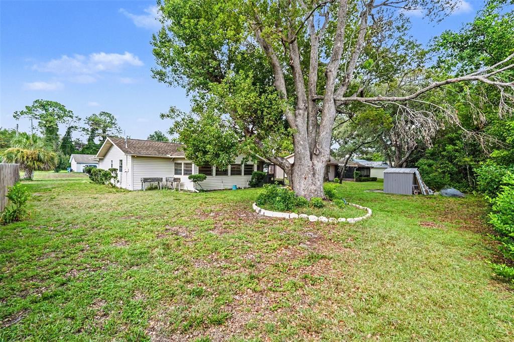 9038 Blackstone Street Spring Hill, FL 34608 - Photo 22 of 31