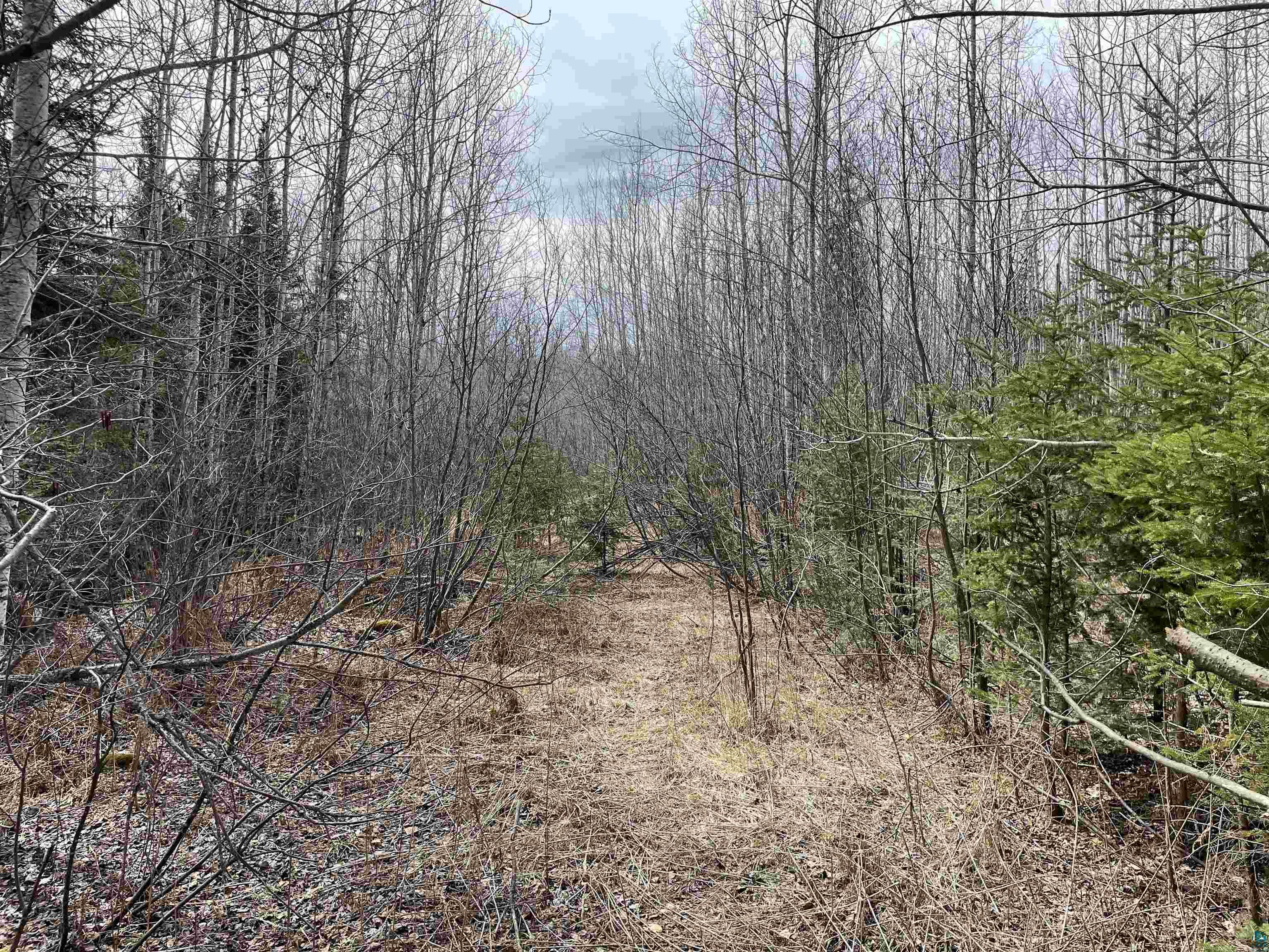 Abc Lost Lake Road Grand Marais, MN 55604 - Photo 11 of 12 Gallery Image 11