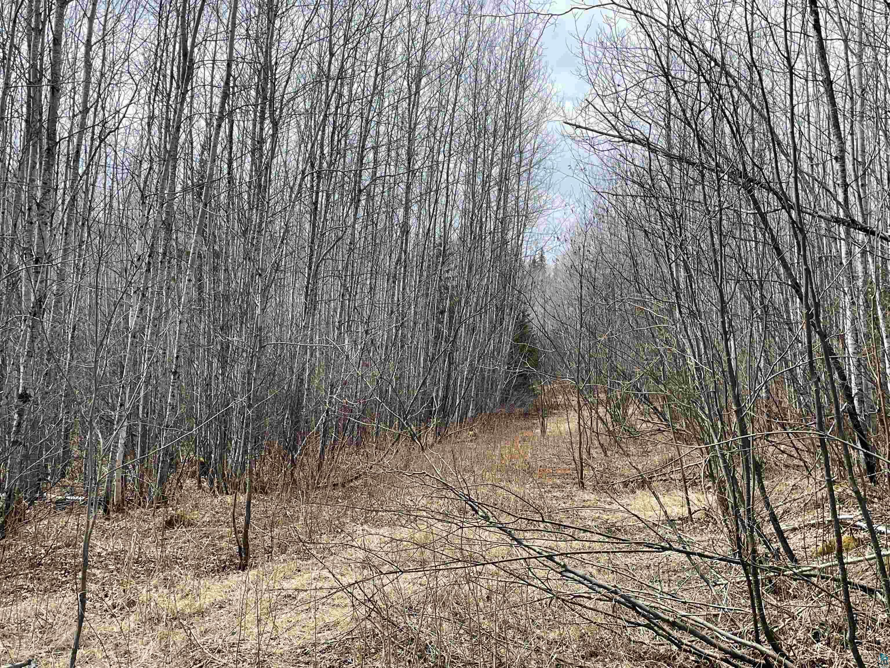 Abc Lost Lake Road Grand Marais, MN 55604 - Photo 10 of 12 Gallery Image 10