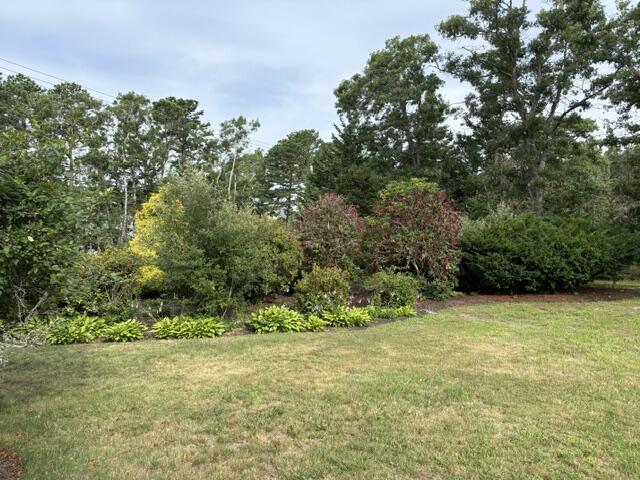 567 Main Street Mashpee, MA 02649 - Photo 10 of 23 yard