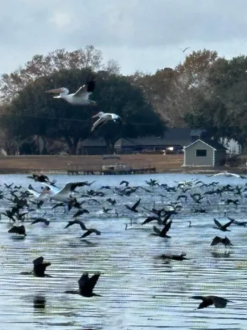 $849,000 | 1204 Joyner Drive, Summerton, SC 29148