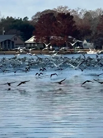 $849,000 | 1204 Joyner Drive, Summerton, SC 29148