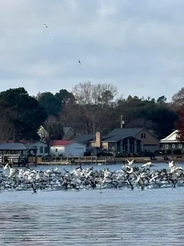 $849,000 | 1204 Joyner Drive, Summerton, SC 29148