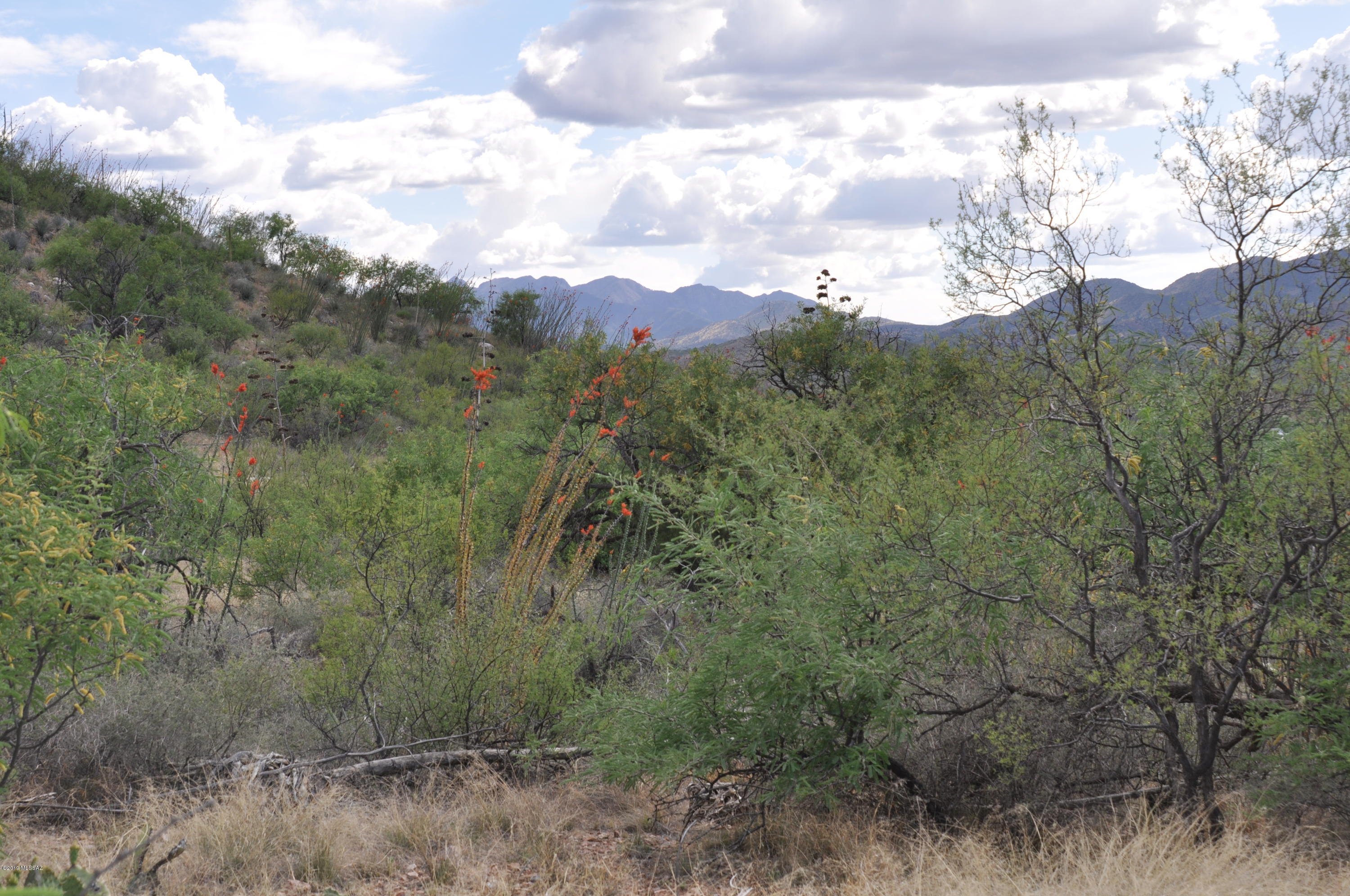 15900 East Hillton Ranch Road Vail, AZ 85641 - Photo 13 of 15