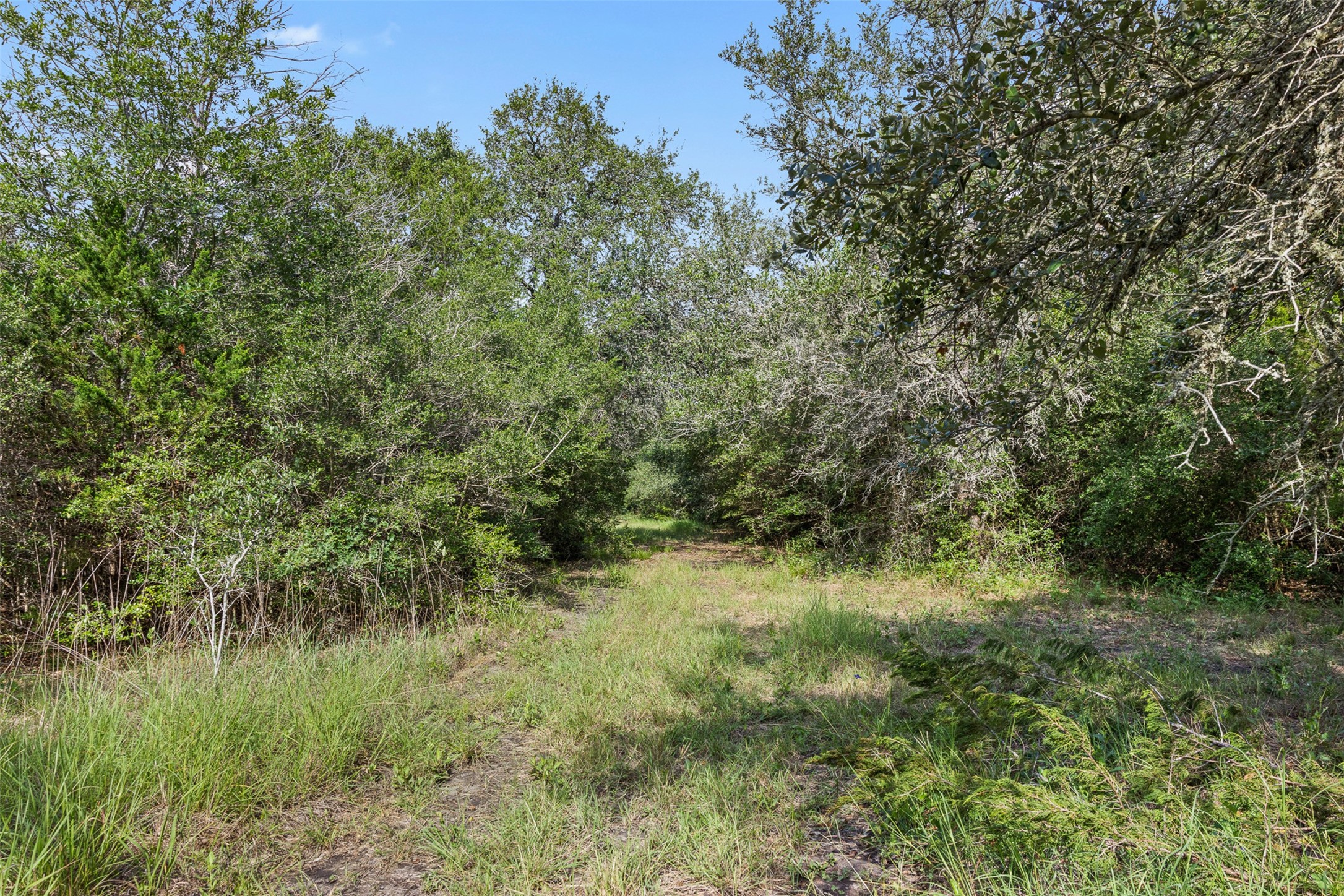 0 Schuster Road Round Top, TX 78954 - Photo 16 of 26