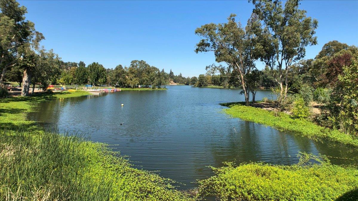 14411 Shannon Road Los Gatos, CA 95032 - Photo 102 of 109