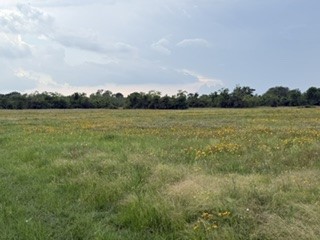 1240 Crooked Road Cat Spring, TX 78933 - Photo 17 of 20 a view of an ocean and beach