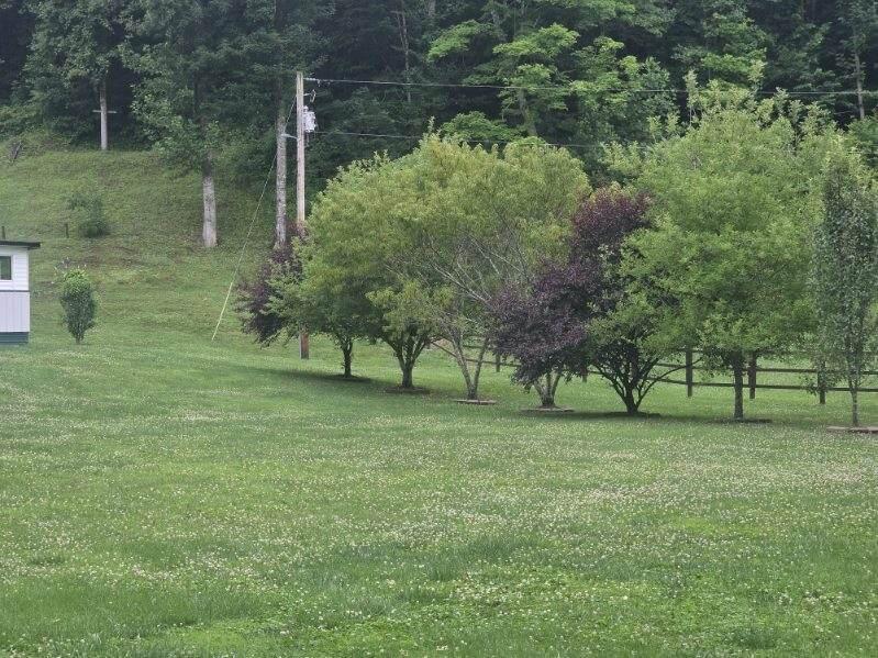 75 Cornwell Sta Road Frenchburg, KY 40322 - Photo 16 of 50 image000008