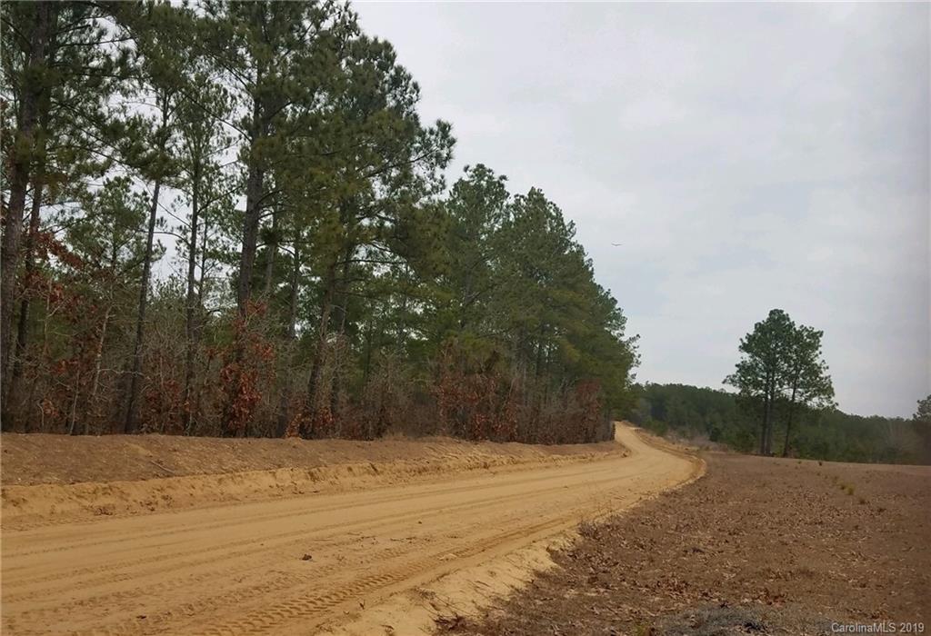 2732 Cassidy Mill Road Chesterfield, SC 29709 - Photo 7 of 25