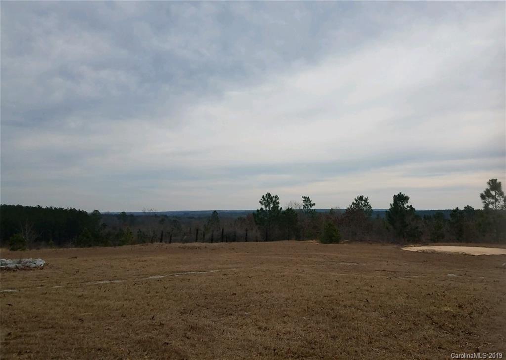 2732 Cassidy Mill Road Chesterfield, SC 29709 - Photo 8 of 25