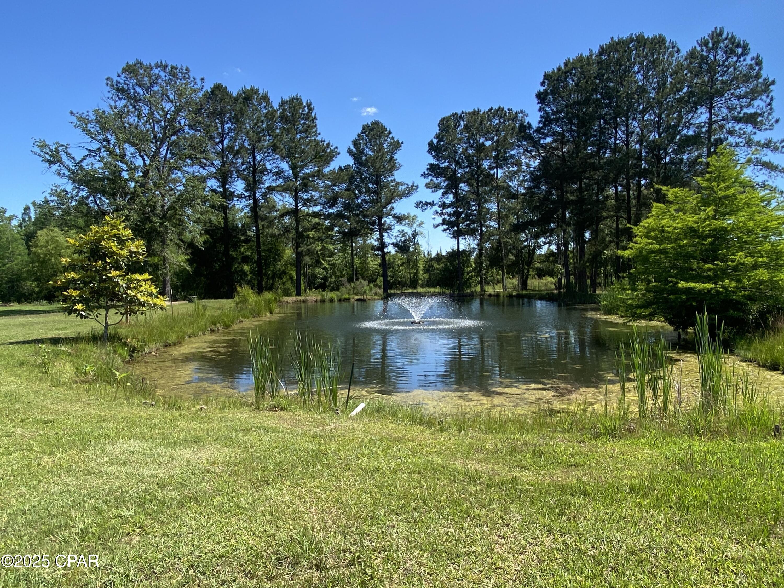 3586 Bush Road Graceville, FL 32440 - Photo 82 of 104 Gallery Image 82