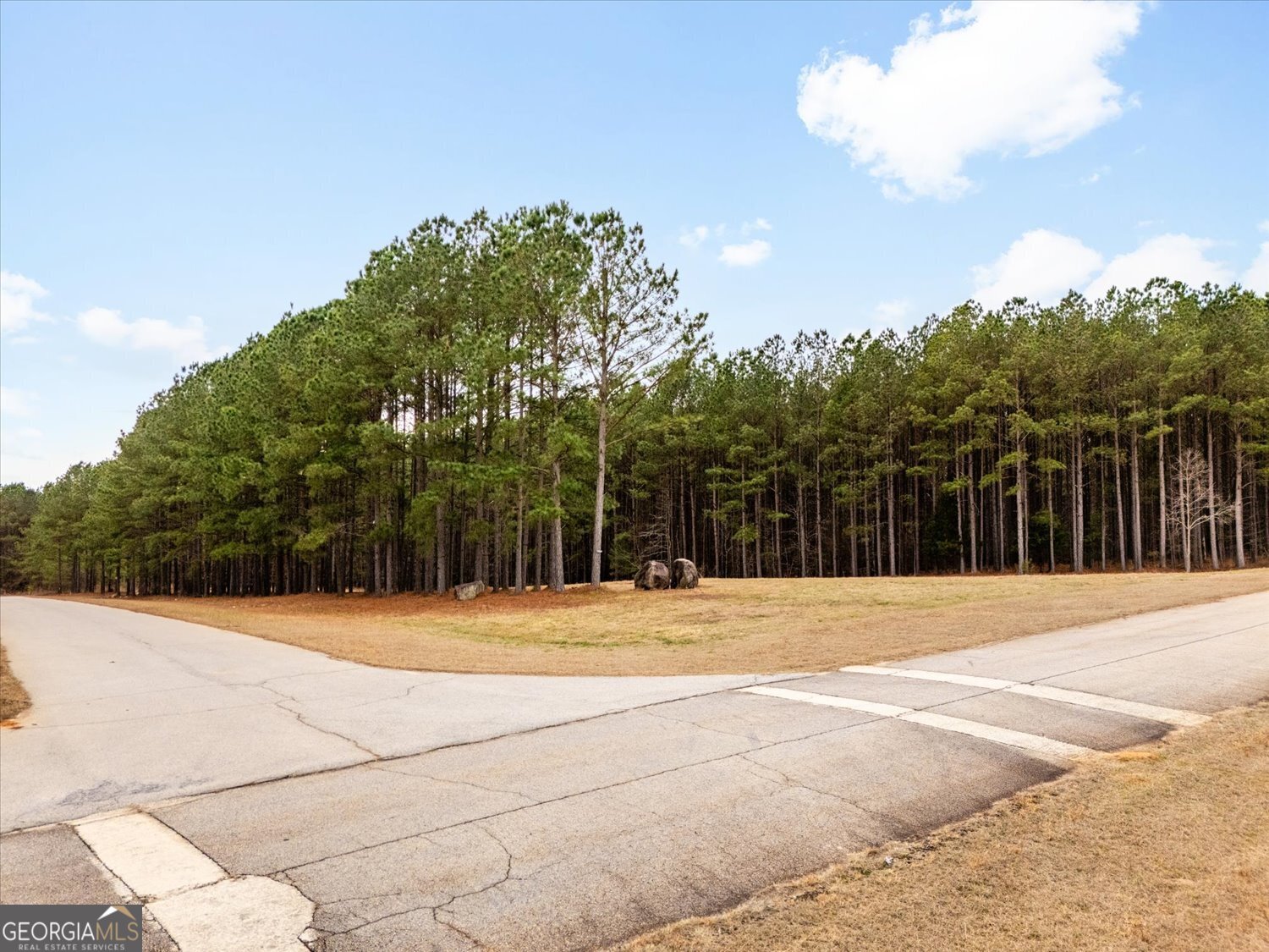 1068 Hester S Ferry Road Tignall, GA 30668 - Photo 5 of 17 a backyard of a house with trees