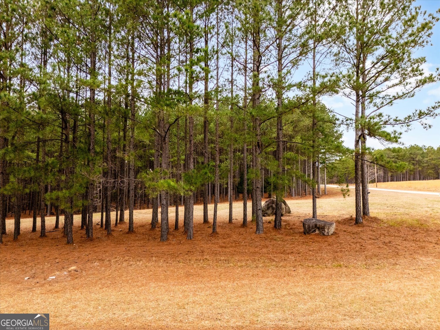 1068 Hester S Ferry Road Tignall, GA 30668 - Photo 6 of 17