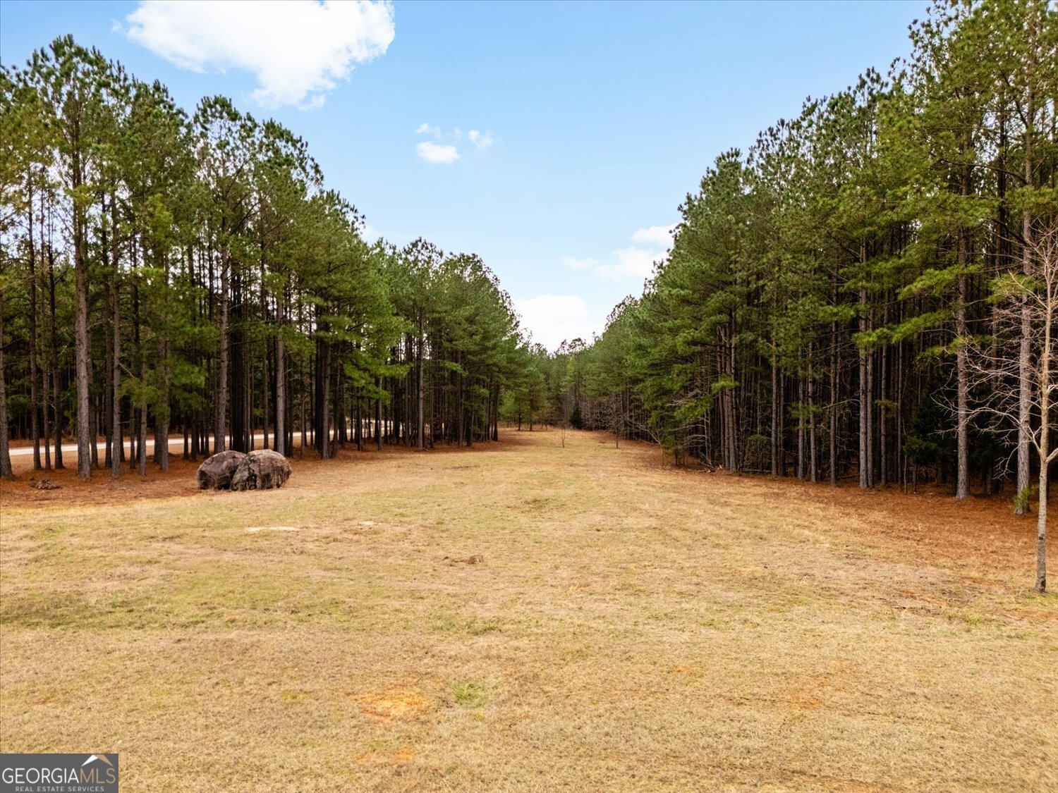 1068 Hester S Ferry Road Tignall, GA 30668 - Photo 7 of 17 a house with trees in front of it