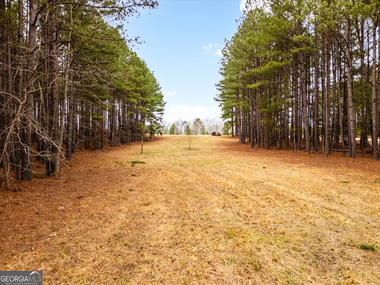1068 Hester S Ferry Road Tignall, GA 30668 - Photo 8 of 17 a view of road with trees