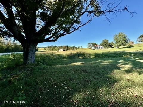 901 Beeler Loop Road Greenback, TN 37742 - Photo 3 of 12 26A87DAC-B402-451C-ACDF-97C22D6070C7_4_5