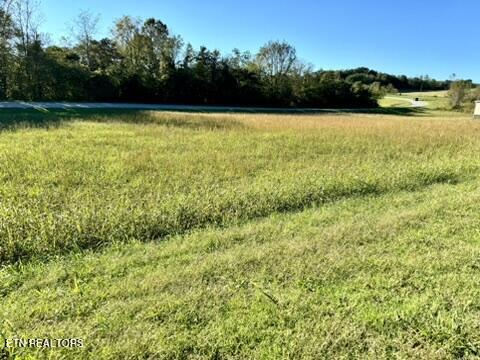 901 Beeler Loop Road Greenback, TN 37742 - Photo 6 of 12 9ACCB8DA-1866-4FA7-A3B1-BABC4FA995B0_4_5