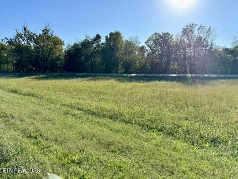 901 Beeler Loop Road Greenback, TN 37742 - Photo 7 of 12 55D40CAE-B83B-4032-866B-462033A71BBC_4_5