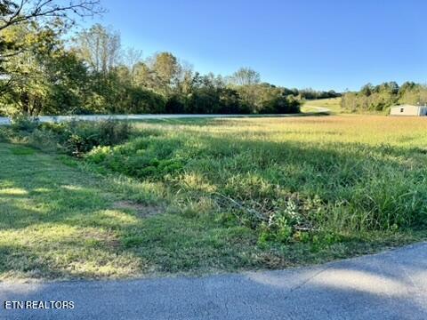 901 Beeler Loop Road Greenback, TN 37742 - Photo 8 of 12 EE7A6EEA-71AA-4E85-B30D-DDC5256F1359_4_5
