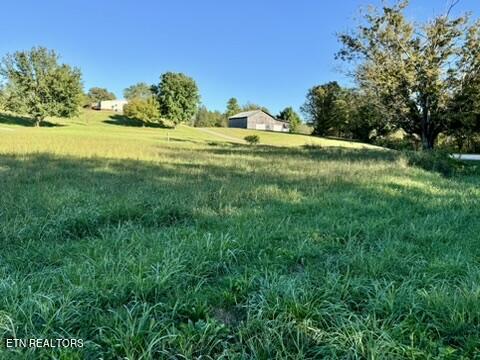 901 Beeler Loop Road Greenback, TN 37742 - Photo 10 of 12 8C40E99E-26CD-4018-9634-5DFD355DD93C_4_5