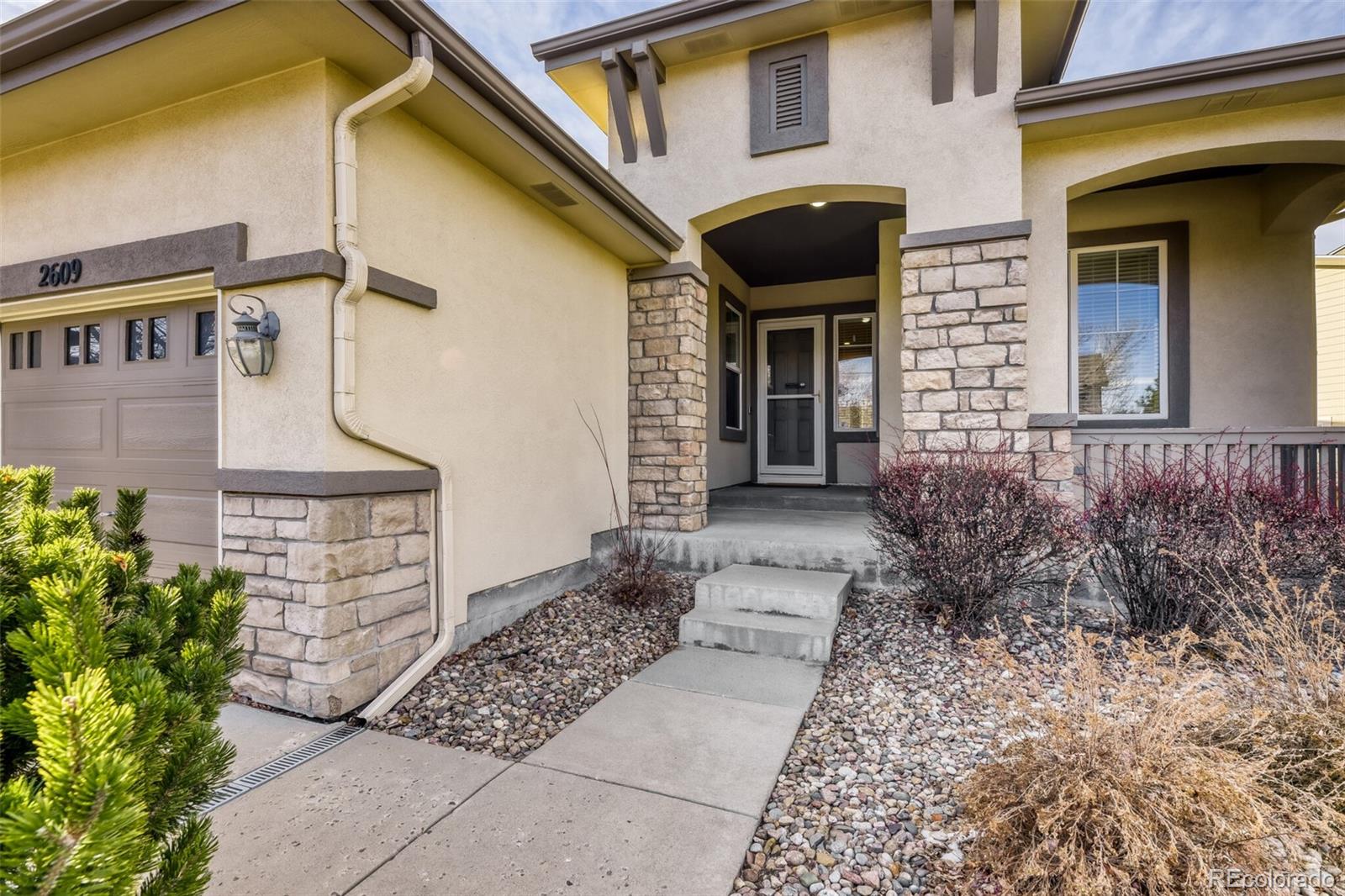 2609 Pemberly Avenue Highlands Ranch, CO 80126 - Photo 36 of 36