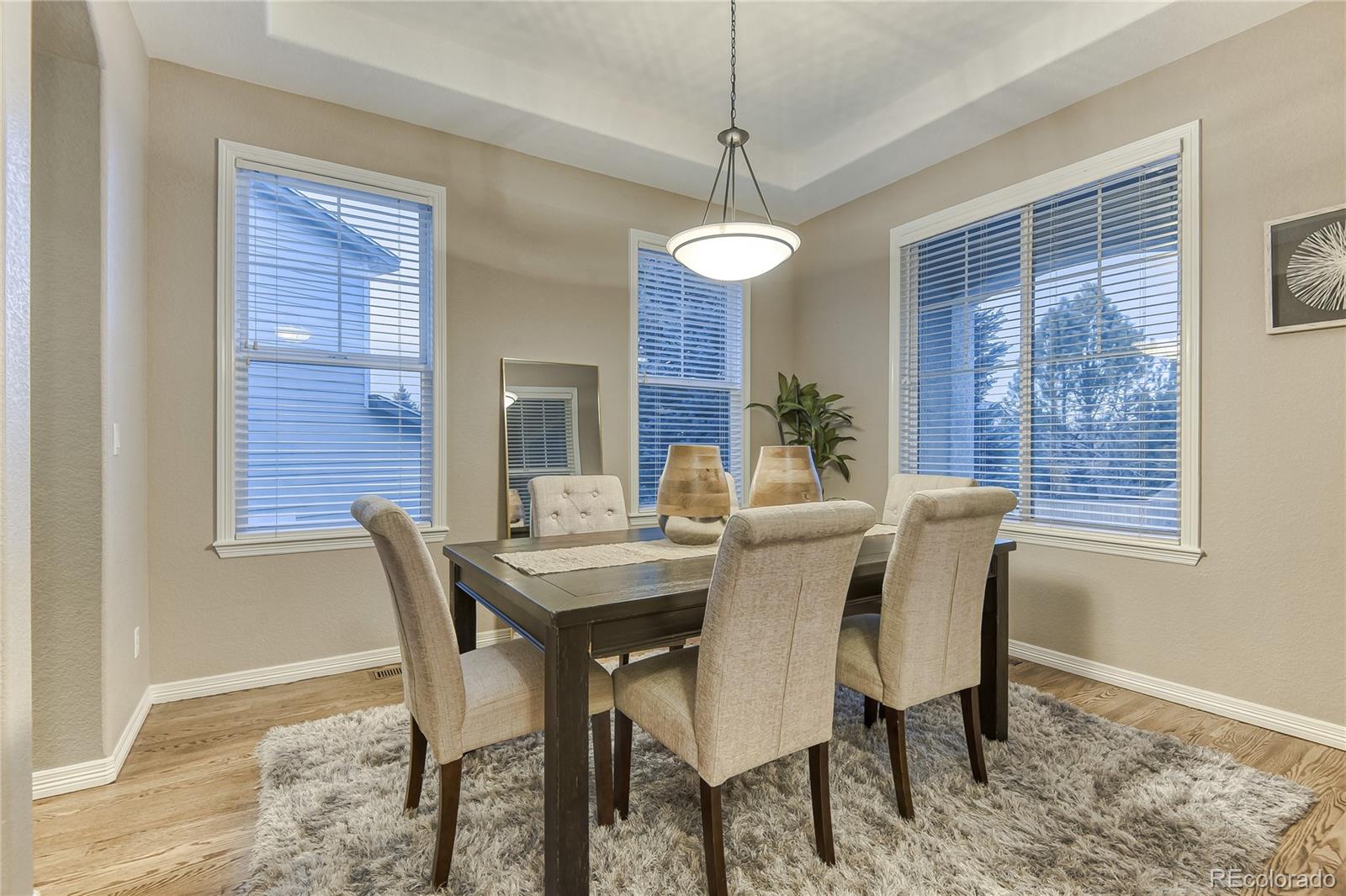 2609 Pemberly Avenue Highlands Ranch, CO 80126 - Photo 7 of 36