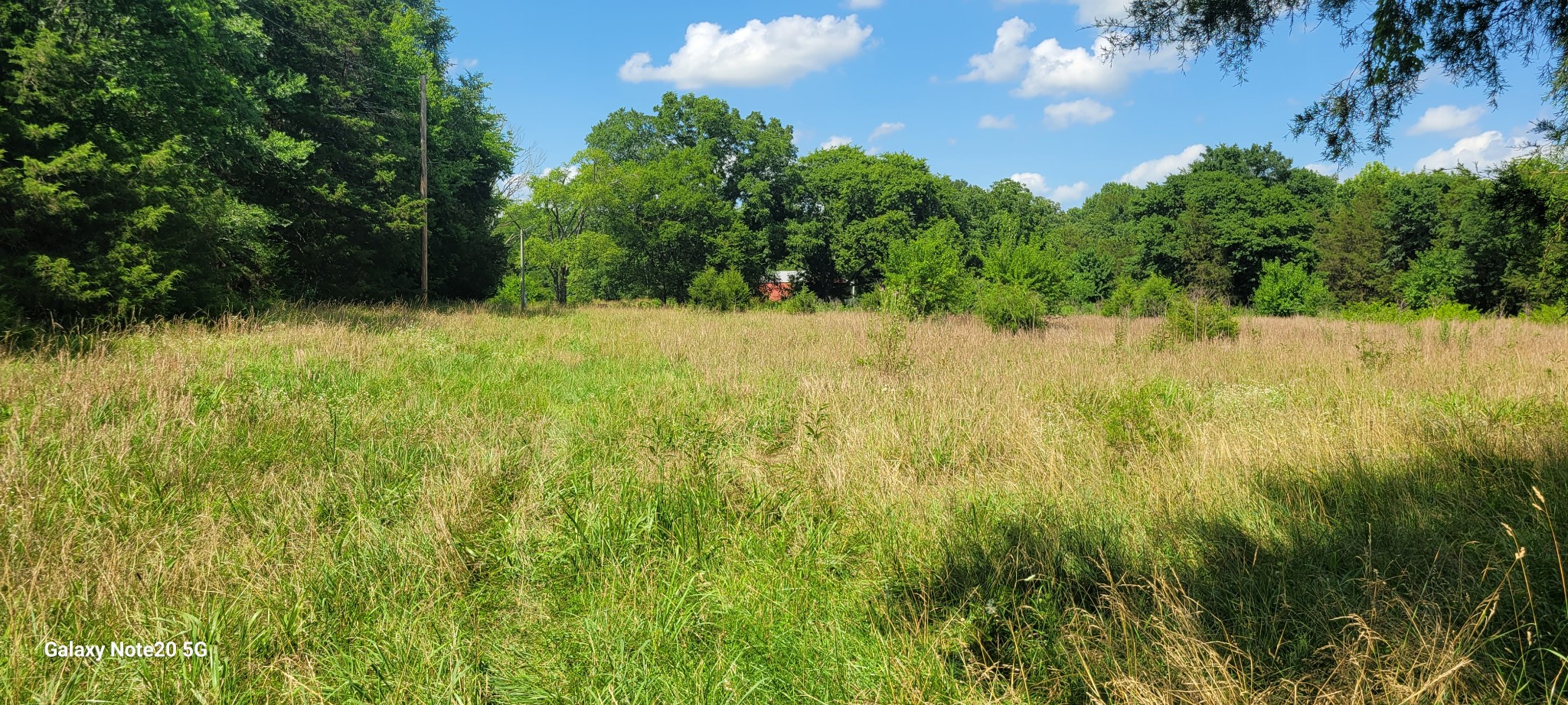 2 Clem Creek Road Chapel Hill, TN 37034 - Photo 4 of 9