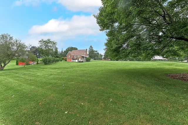 a view of a field of grass and trees