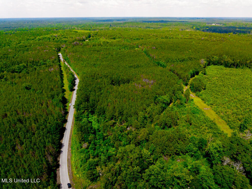 0 Hathorn Road Oak Vale, MS 39656 - Photo 11 of 25 10