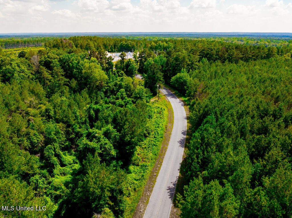 0 Hathorn Road Oak Vale, MS 39656 - Photo 3 of 25 02