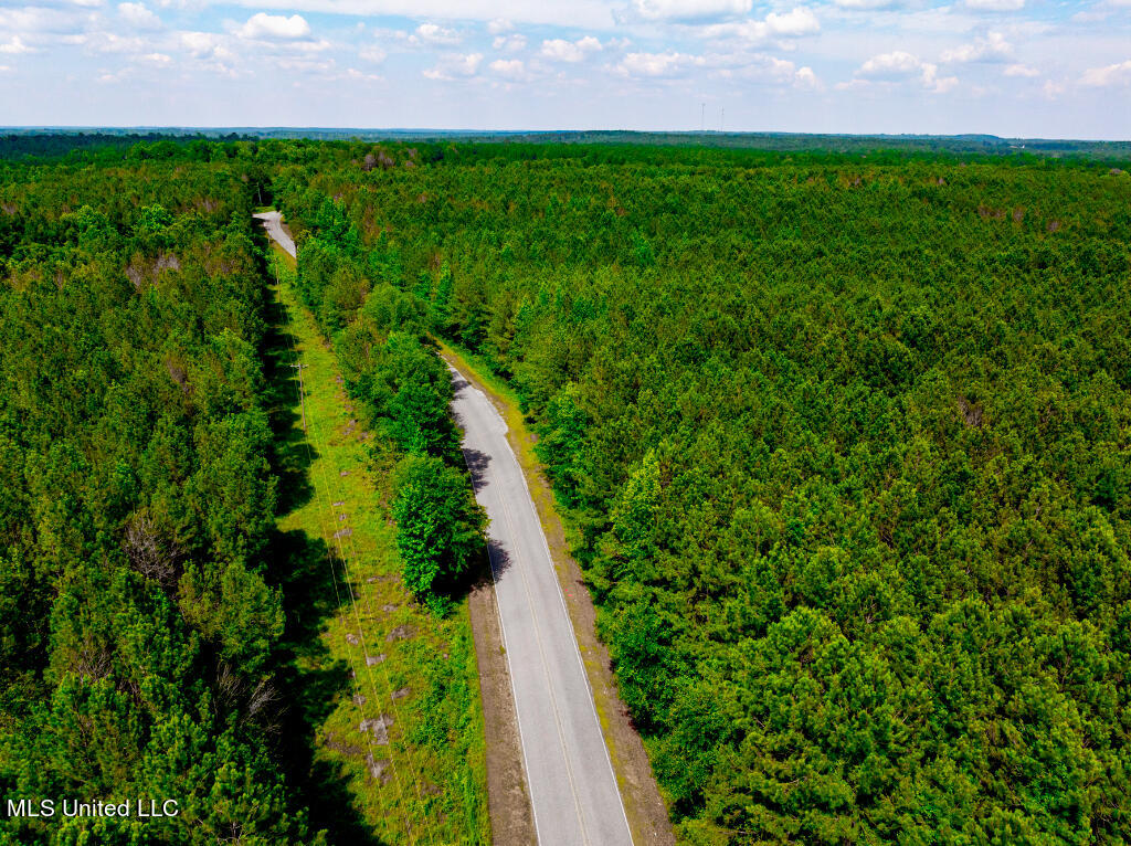0 Hathorn Road Oak Vale, MS 39656 - Photo 4 of 25 03