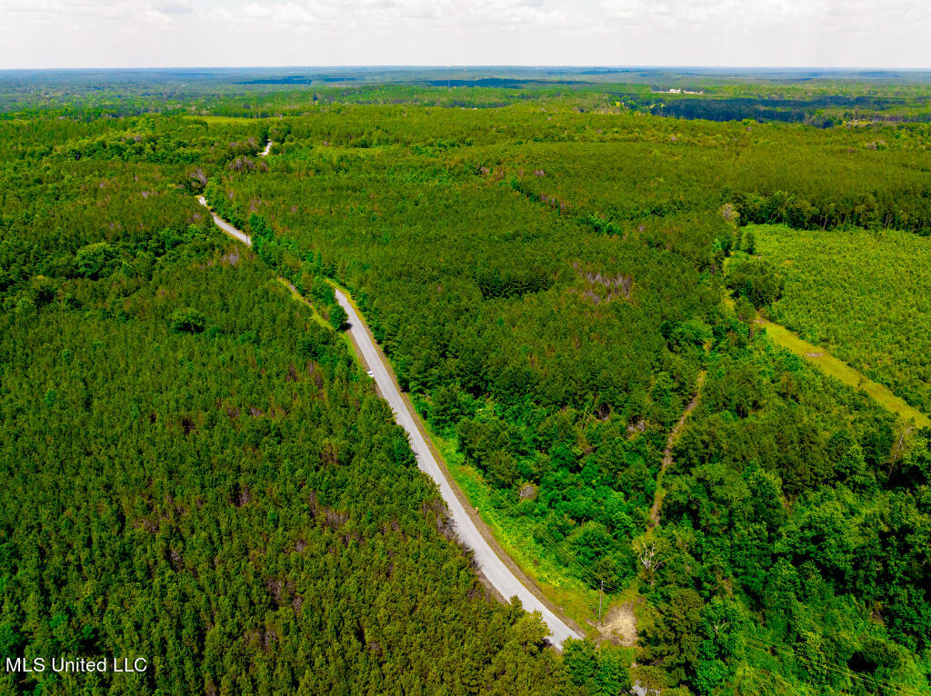 0 Hathorn Road Oak Vale, MS 39656 - Photo 8 of 25 07