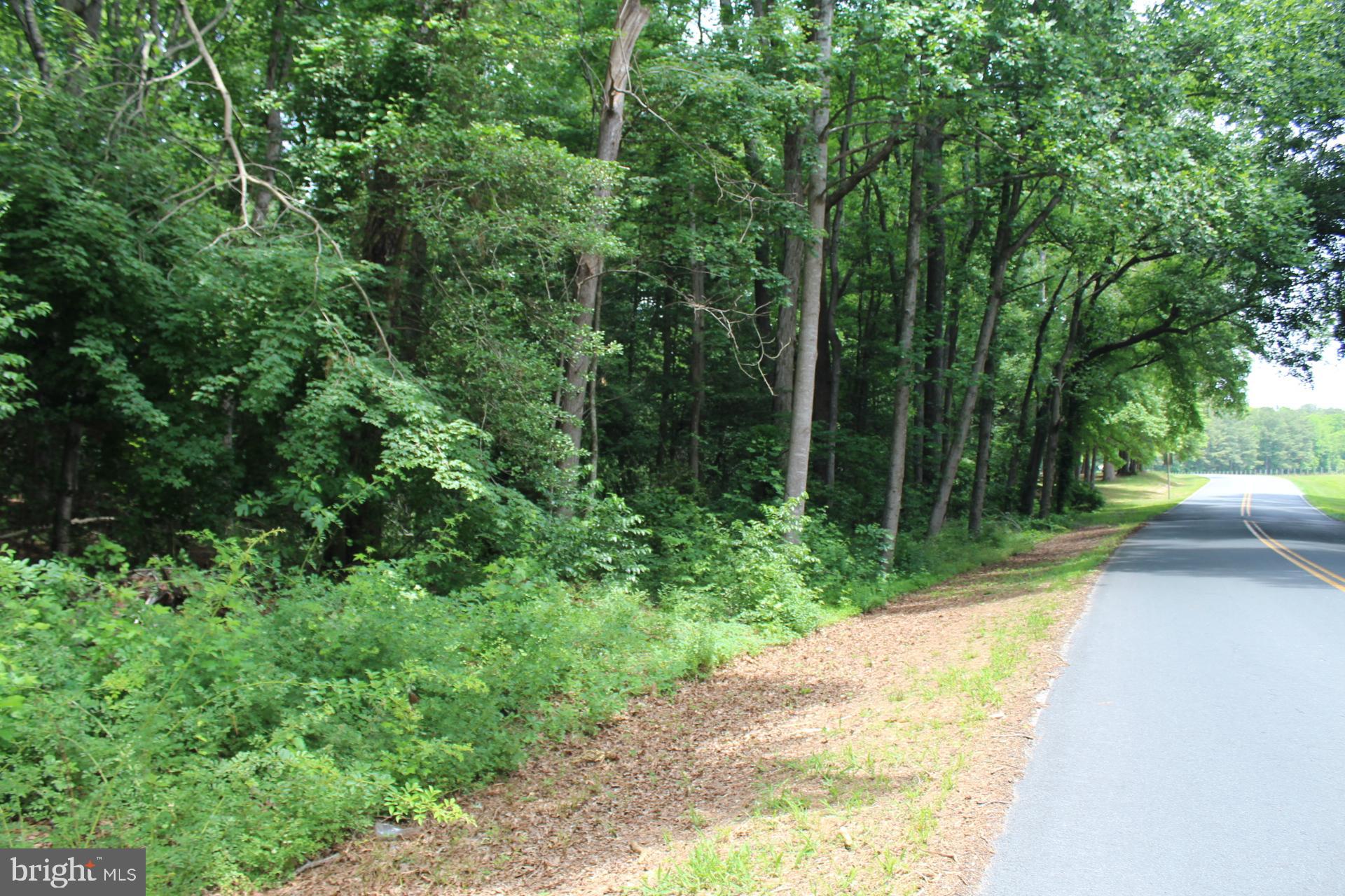 Lot 3 Jackson Road Salisbury, MD 21804 - Photo 6 of 20