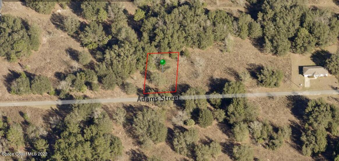 2402 Adams Street Inverness, FL 34453 - Photo 2 of 2