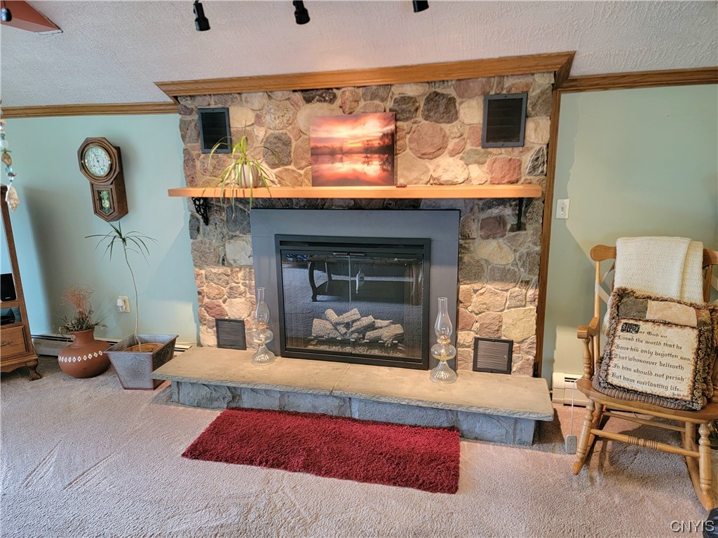 10026 Jordan Road Cato, NY 13080 - Photo 17 of 38 ELECTRIC FIREPLACE