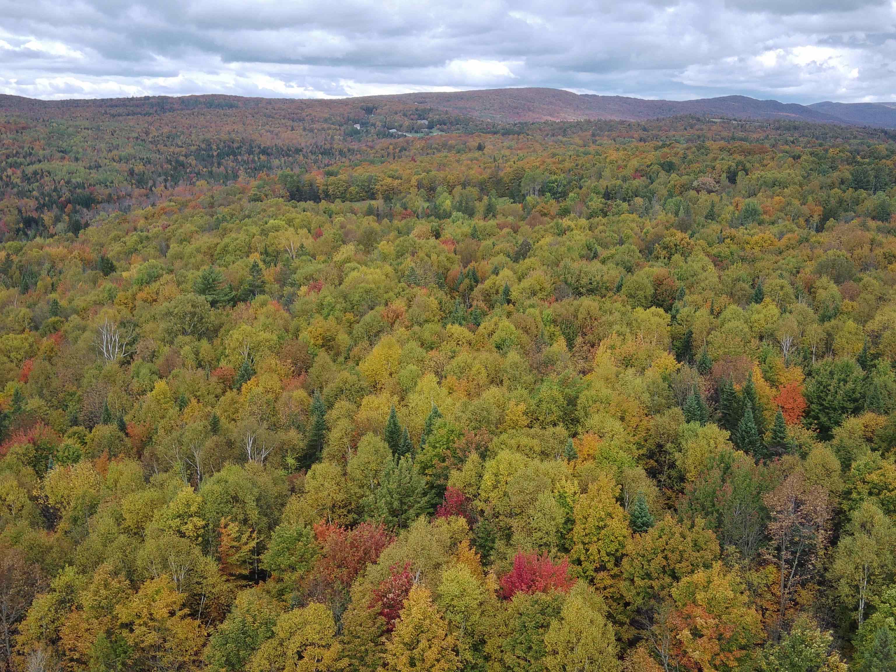 0 Walden Hill Road, Unit 2 Danville, VT 05828 - Photo 15 of 29