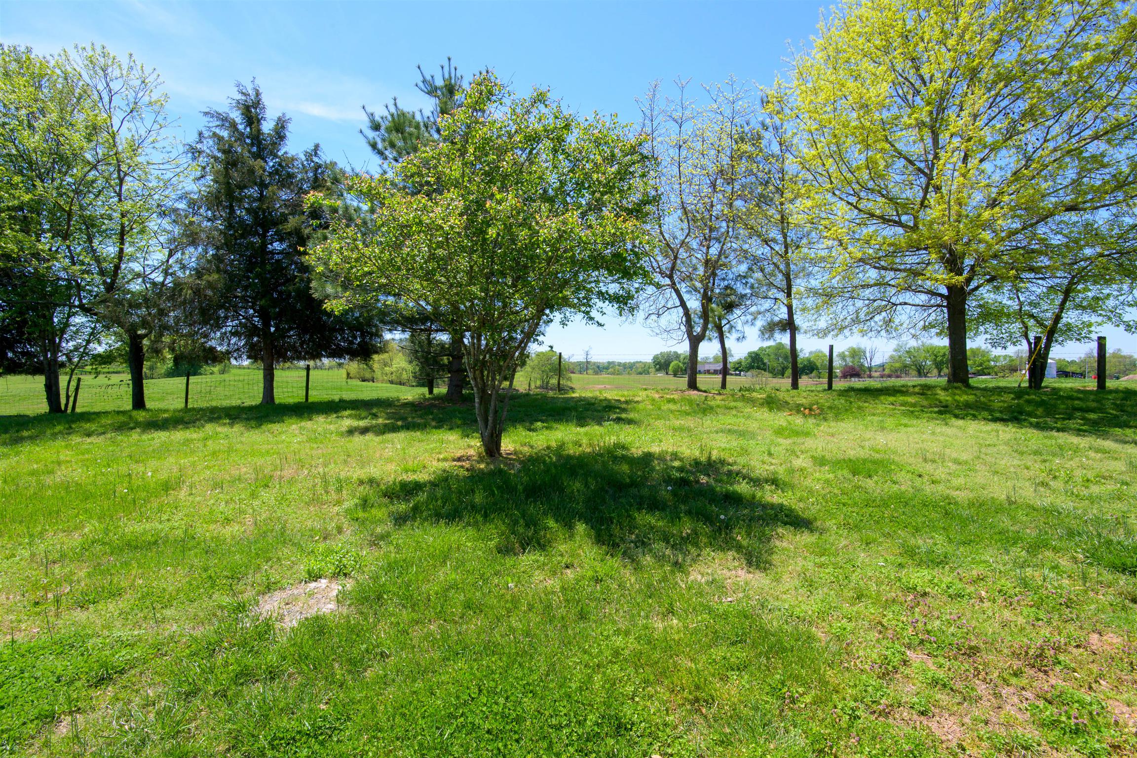 4489 Goodman Road Adams, TN 37010 - Photo 29 of 30 a view of green field with trees