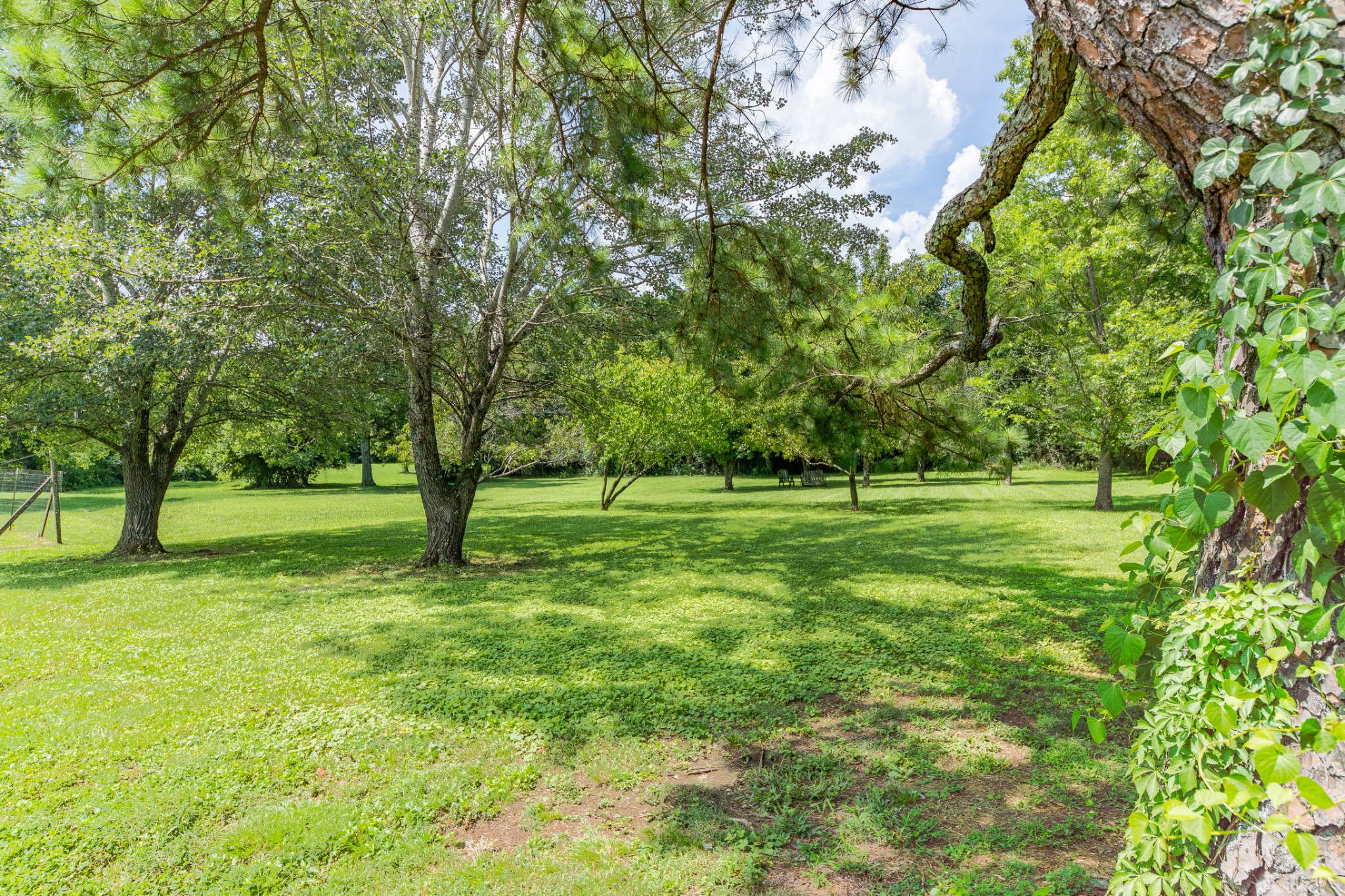 330 Holly Grove Road Lewisburg, TN 37091 - Photo 53 of 84