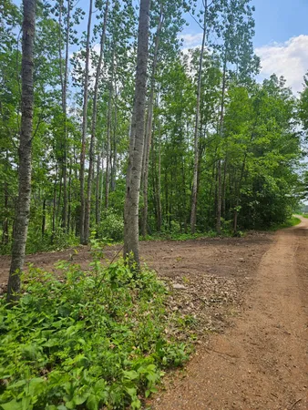 $89,900 | Parcel E Parcel E Rogue Way, Ironton, MN 56455