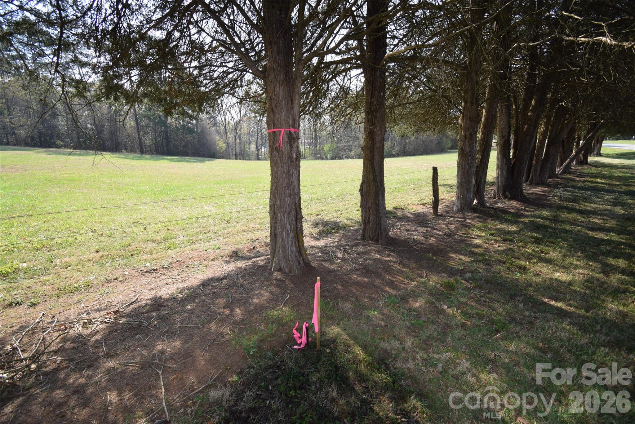 Lot 2 Lot Road Stanley, NC 28164 - Photo 5 of 6