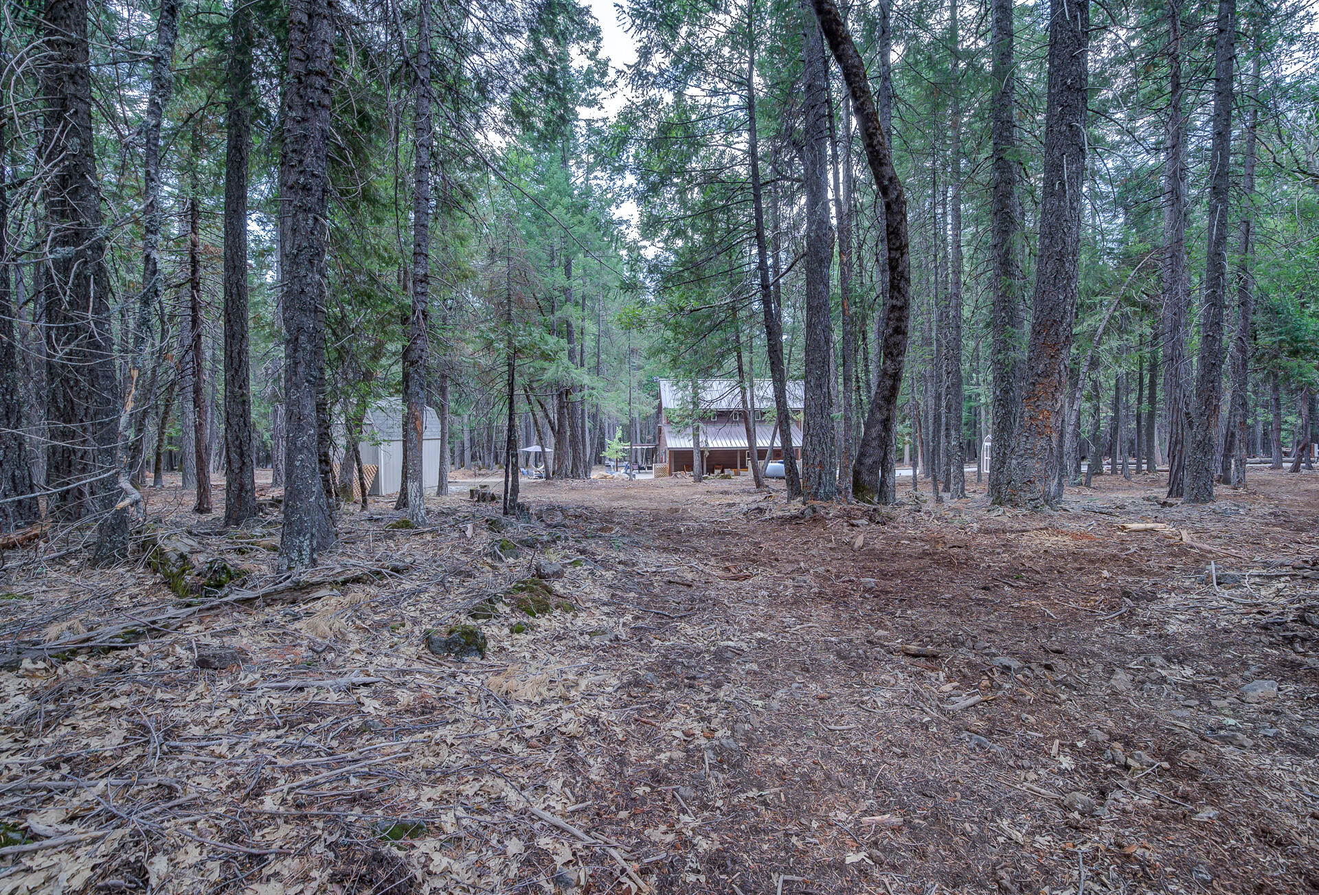 34607 Mountain Haven Road Shingletown, CA 96088 - Photo 49 of 63 a view of outdoor space with green space