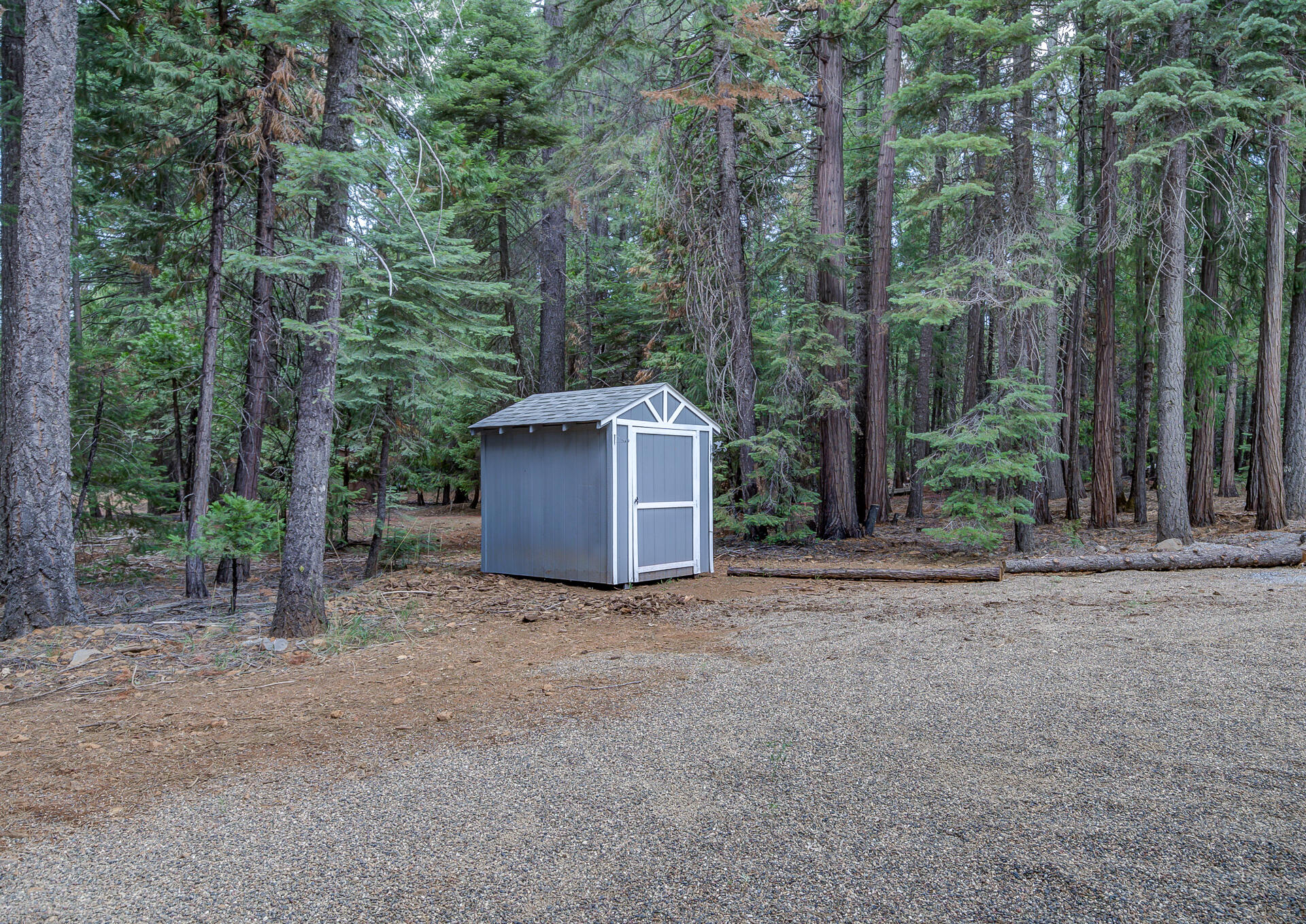 34607 Mountain Haven Road Shingletown, CA 96088 - Photo 51 of 63 a view of a barn in the middle of a forest