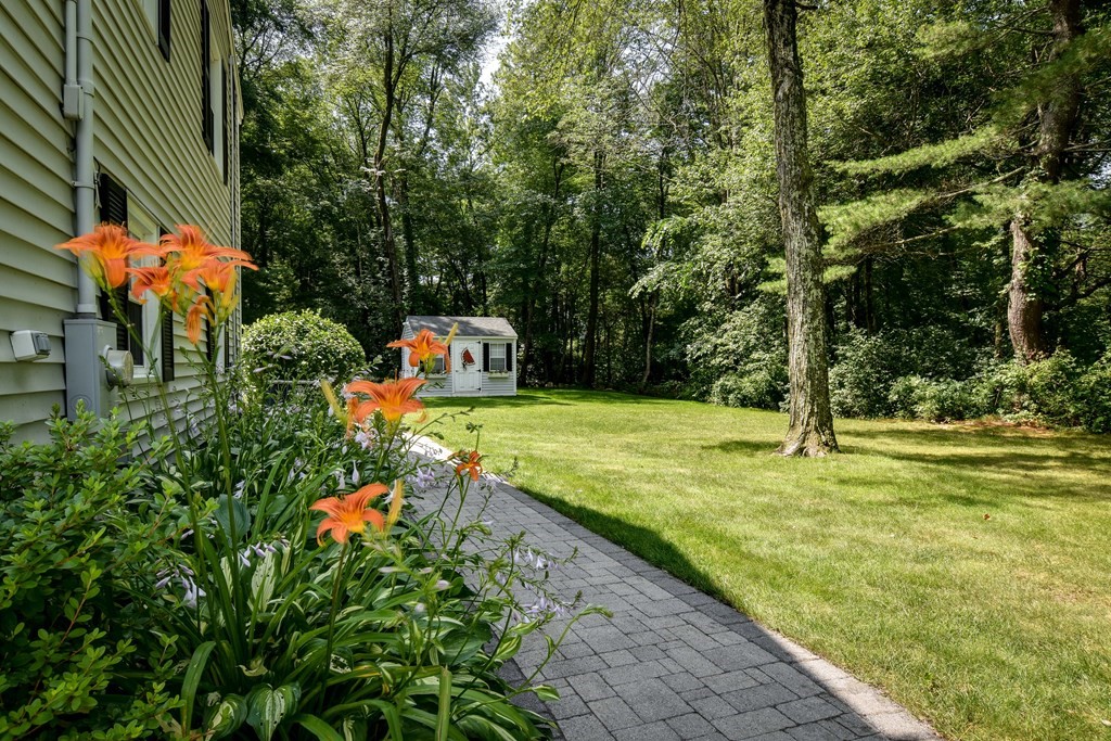 9 Longmeadow Road Medfield, MA 02052 - Photo 26 of 31 a backyard of a house with large trees and plants