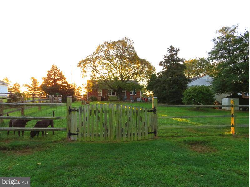 5926 Ridge Road Mount Airy, MD 21771 - Photo 13 of 15 Fenced Rear Yard