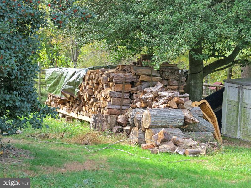 5926 Ridge Road Mount Airy, MD 21771 - Photo 15 of 15 2+ Cords of Firewood
