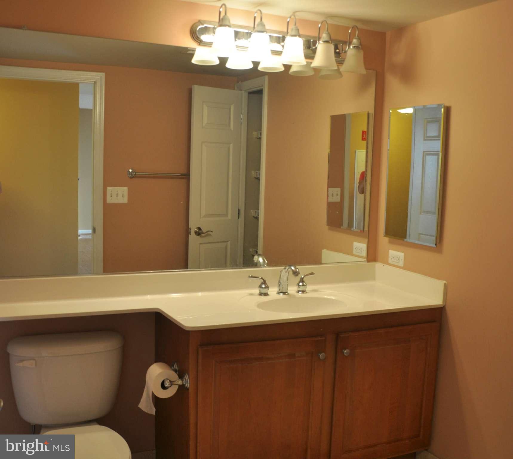 11710 Old Georgetown Road, Unit 902 North Bethesda, MD 20852 - Photo 14 of 17 Bath #2 with shower