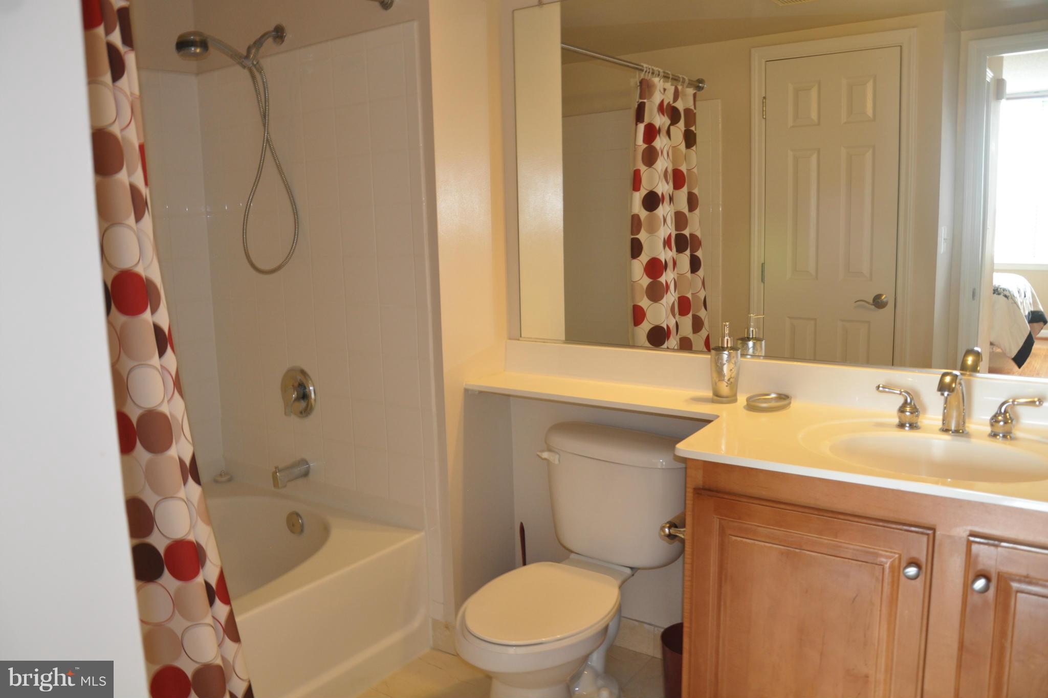 11710 Old Georgetown Road, Unit 902 North Bethesda, MD 20852 - Photo 6 of 17 Bath (Master) w Wide Tub