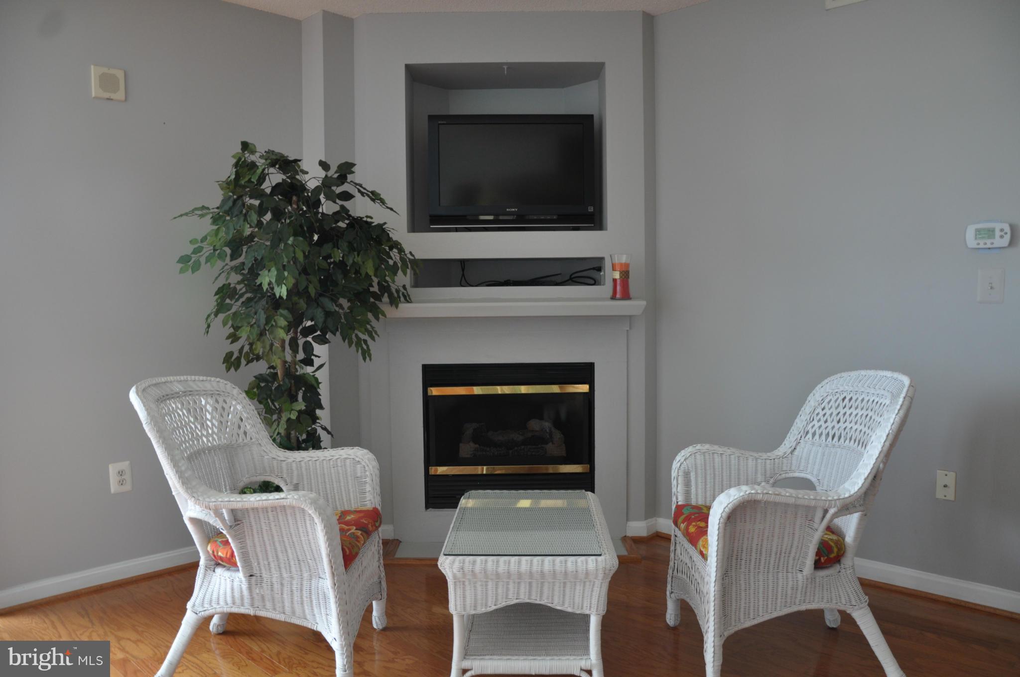 11710 Old Georgetown Road, Unit 902 North Bethesda, MD 20852 - Photo 7 of 17 Fire Place w TV Recess