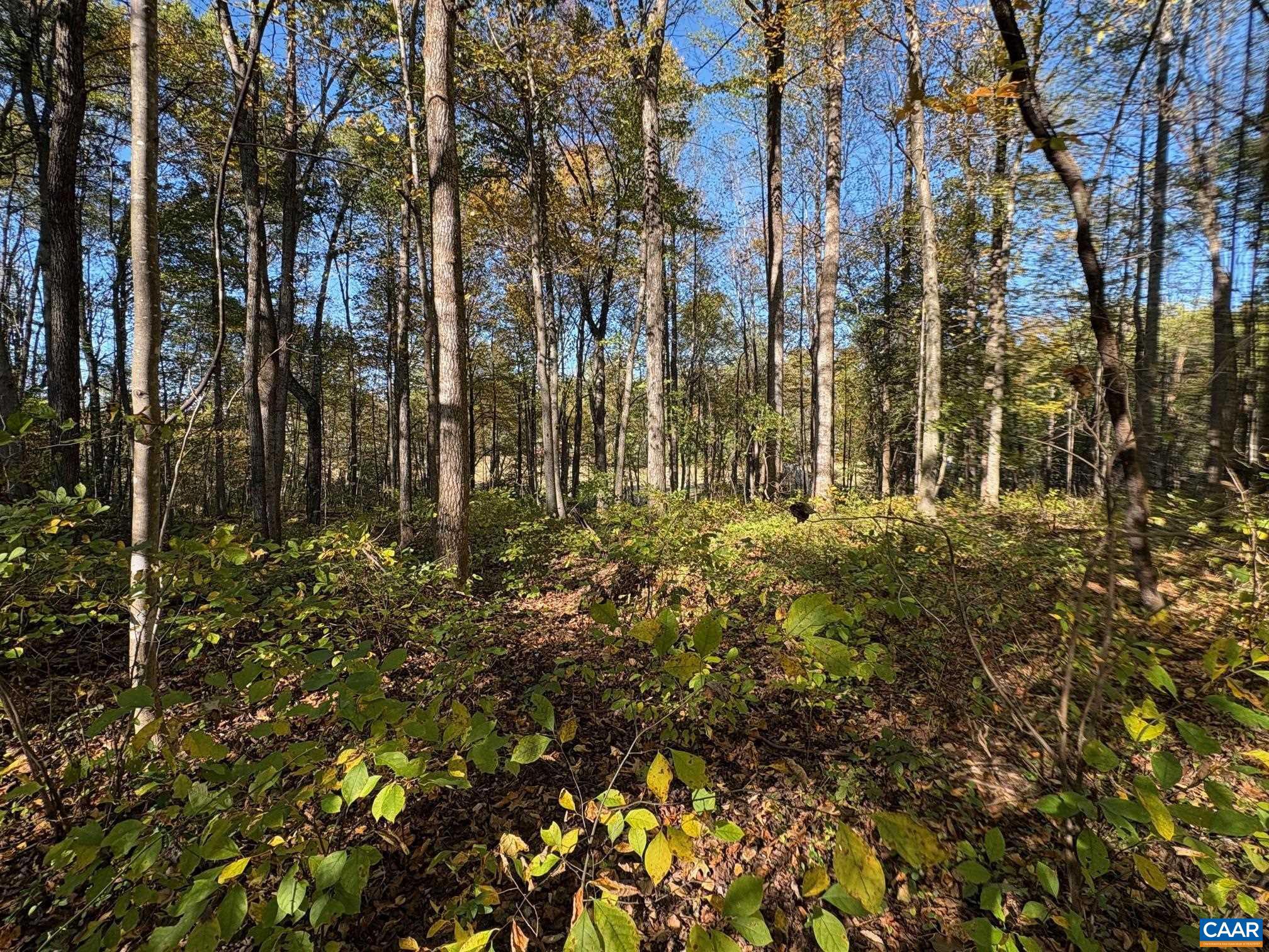 Lot D West Hoover Road, Unit D Reva, VA 22735 - Photo 7 of 11 a view of yard